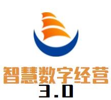 智慧数字经营3.0