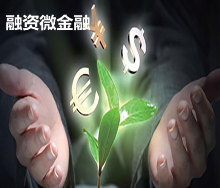 融资微金融加盟